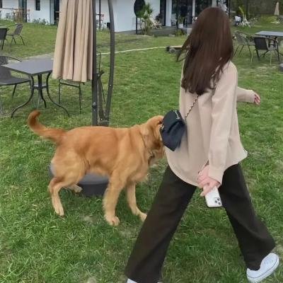 登楼叹